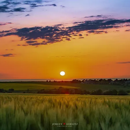 Winningmay Ii Fuesing Schaalby